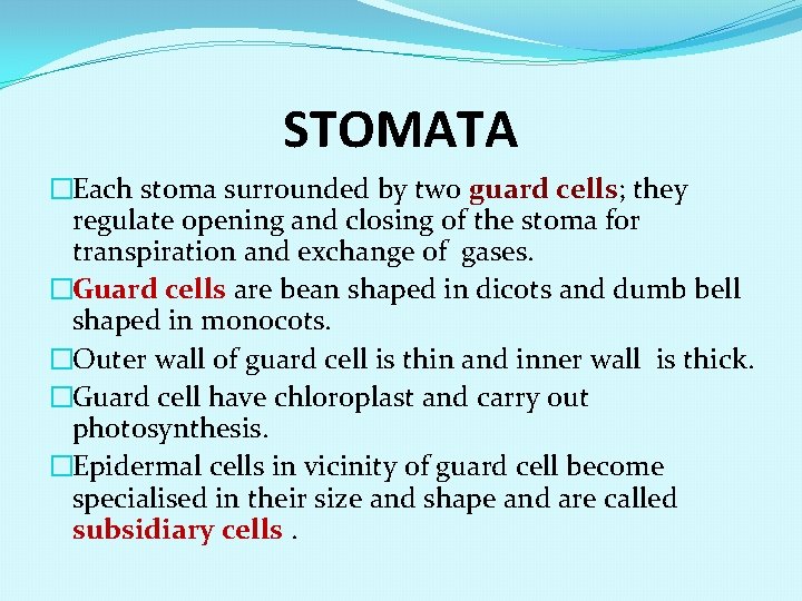 STOMATA �Each stoma surrounded by two guard cells; they regulate opening and closing of