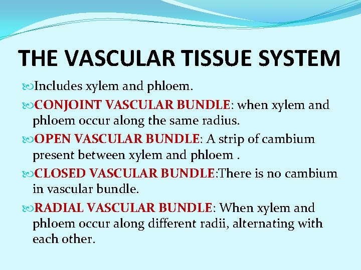 THE VASCULAR TISSUE SYSTEM Includes xylem and phloem. CONJOINT VASCULAR BUNDLE: when xylem and