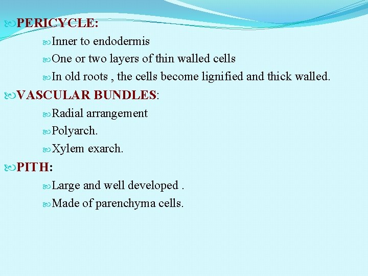  PERICYCLE: Inner to endodermis One or two layers of thin walled cells In