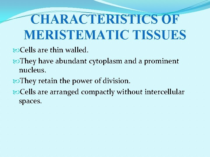 CHARACTERISTICS OF MERISTEMATIC TISSUES Cells are thin walled. They have abundant cytoplasm and a