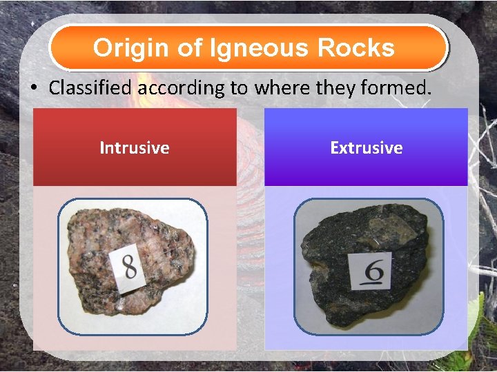 Origin of Igneous Rocks • Classified according to where they formed. Intrusive Extrusive 