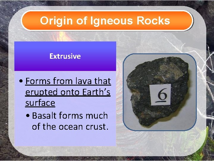 Origin of Igneous Rocks Extrusive • Forms from lava that erupted onto Earth’s surface