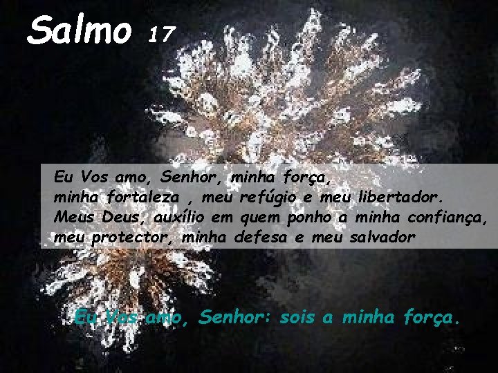 Salmo 17 Eu Vos amo, Senhor, minha força, minha fortaleza , meu refúgio e