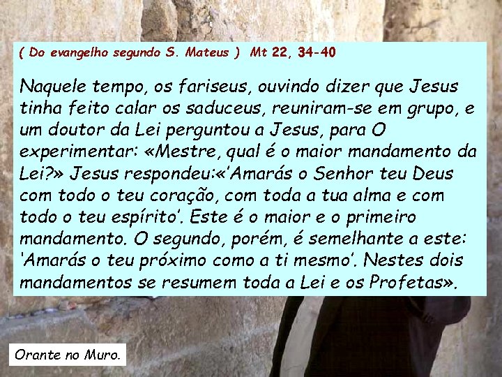 ( Do evangelho segundo S. Mateus ) Mt 22, 34 -40 Naquele tempo, os