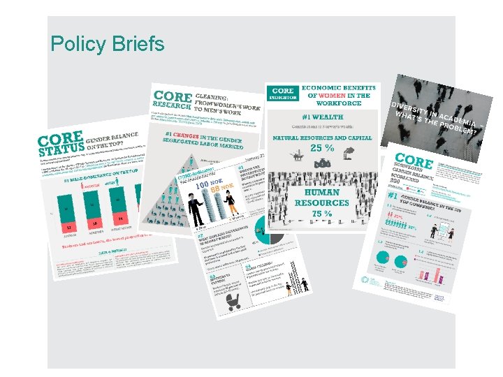 Policy Briefs 