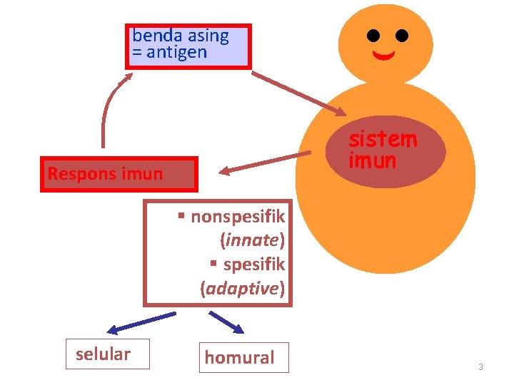 benda asing = antigen sistem imun Respons imun § nonspesifik (innate) § spesifik (adaptive)