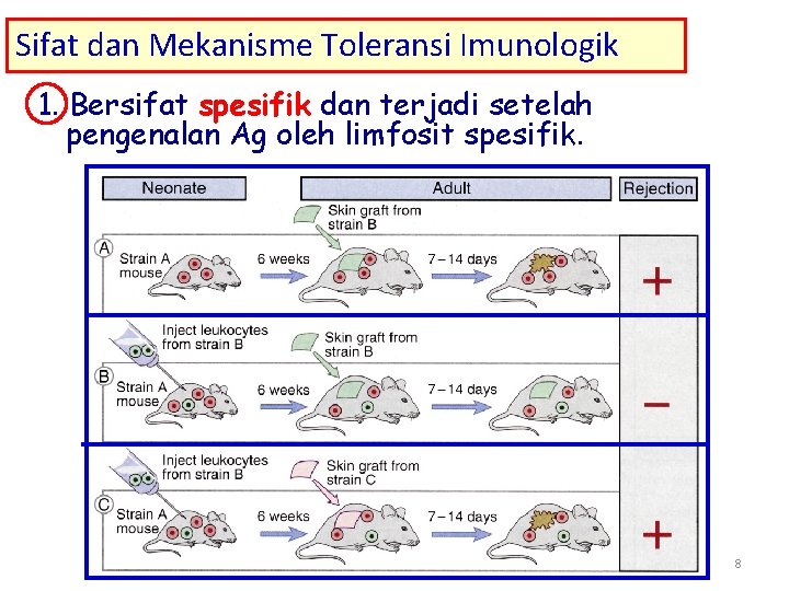 Sifat dan Mekanisme Toleransi Imunologik 1. Bersifat spesifik dan terjadi setelah pengenalan Ag oleh