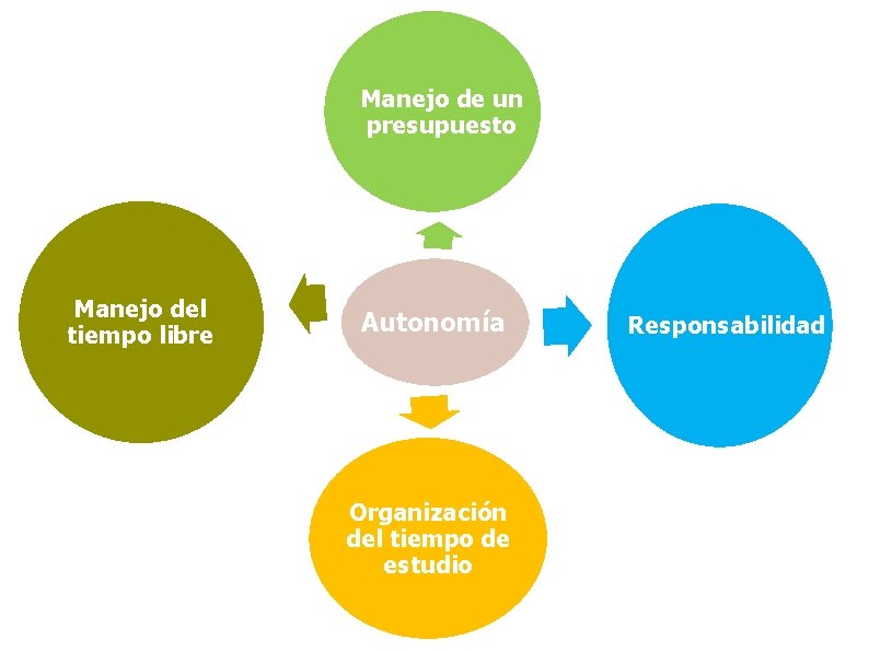 Manejo de un presupuesto Manejo del tiempo libre Autonomía Organización del tiempo de estudio