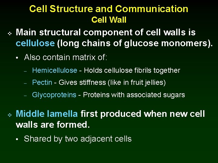 Cell Structure and Communication Cell Wall v Main structural component of cell walls is
