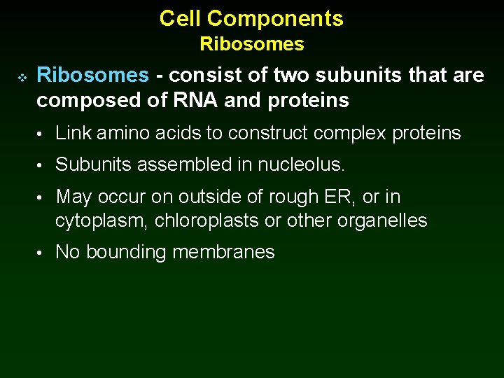 Cell Components Ribosomes v Ribosomes - consist of two subunits that are composed of