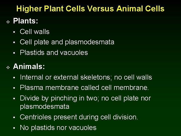 Higher Plant Cells Versus Animal Cells v Plants: • Cell walls • Cell plate