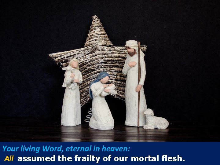 Your living Word, eternal in heaven: All assumed the frailty of our mortal flesh.