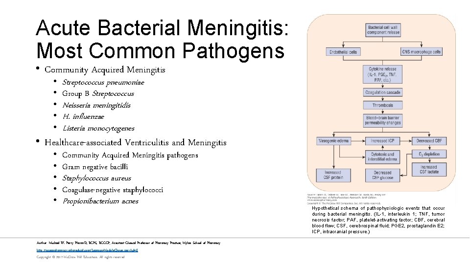 Acute Bacterial Meningitis: Most Common Pathogens • Community Acquired Meningitis • • • Streptococcus