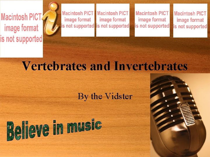 Vertebrates and Invertebrates By the Vidster 