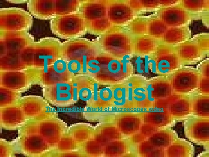 Tools of the Biologist The Incredible World of Microscopes video 