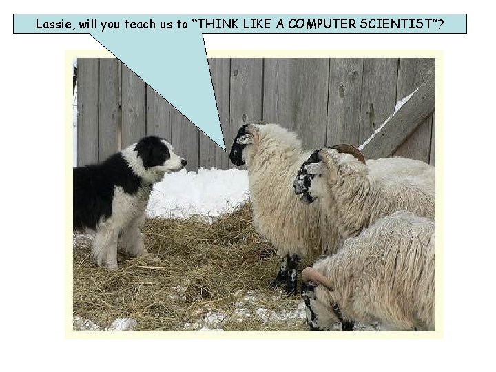 Lassie, will you teach us to “THINK LIKE A COMPUTER SCIENTIST”? 
