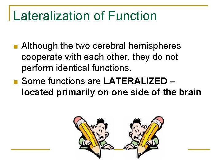 Lateralization of Function n n Although the two cerebral hemispheres cooperate with each other,