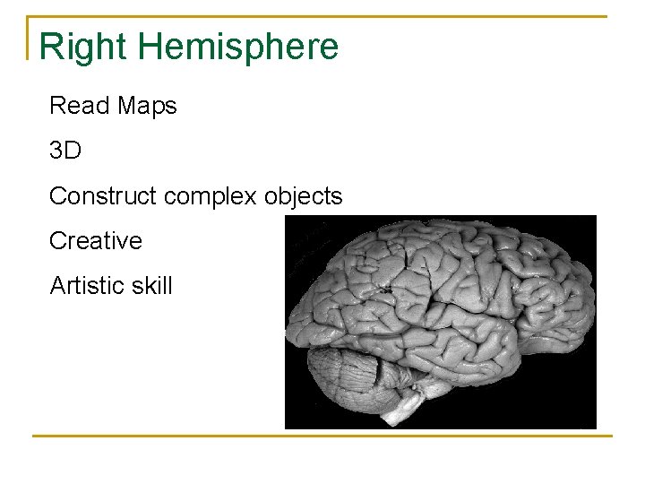 Right Hemisphere Read Maps 3 D Construct complex objects Creative Artistic skill 