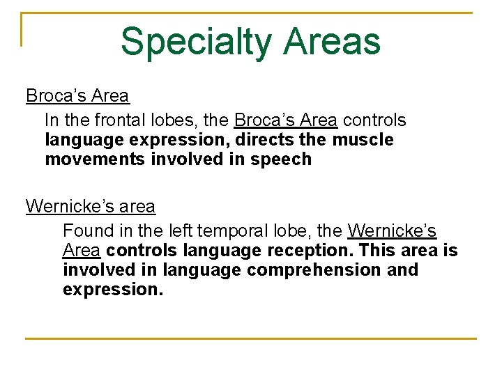 Specialty Areas Broca’s Area In the frontal lobes, the Broca’s Area controls language expression,