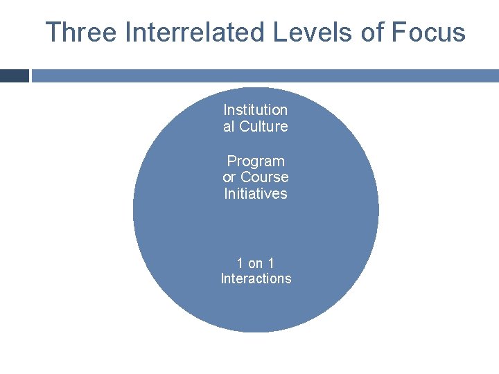 Three Interrelated Levels of Focus Institution al Culture Program or Course Initiatives 1 on