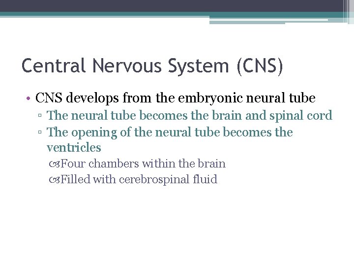 Central Nervous System (CNS) • CNS develops from the embryonic neural tube ▫ The