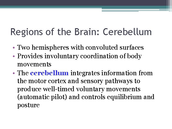 Regions of the Brain: Cerebellum • Two hemispheres with convoluted surfaces • Provides involuntary