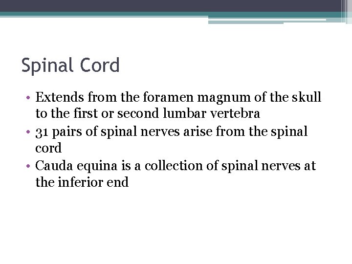 Spinal Cord • Extends from the foramen magnum of the skull to the first