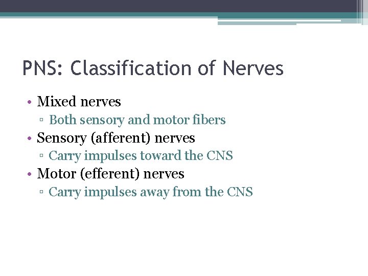 PNS: Classification of Nerves • Mixed nerves ▫ Both sensory and motor fibers •