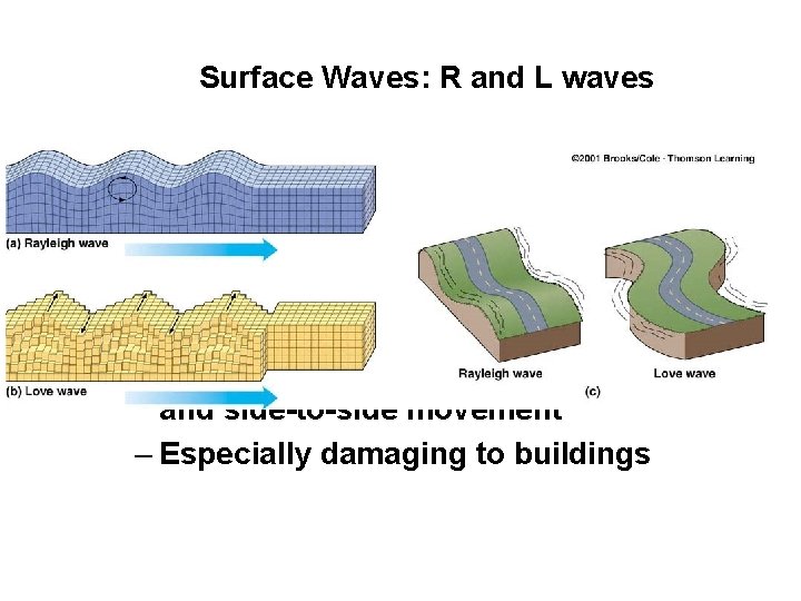 Surface Waves: R and L waves • Surface Waves – Travel just below or