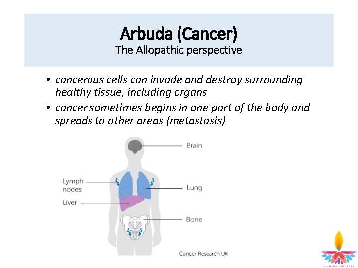 Arbuda (Cancer) The Allopathic perspective • cancerous cells can invade and destroy surrounding healthy