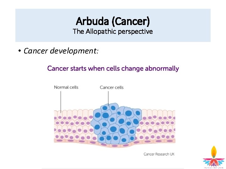 Arbuda (Cancer) The Allopathic perspective • Cancer development: 