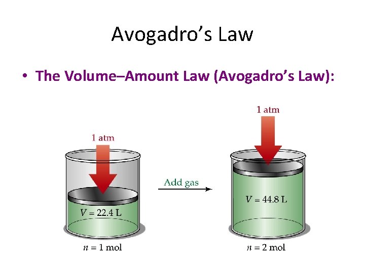 Avogadro’s Law • The Volume–Amount Law (Avogadro’s Law): 