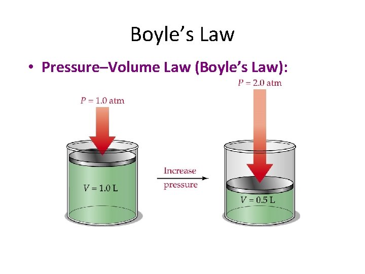 Boyle’s Law • Pressure–Volume Law (Boyle’s Law): 