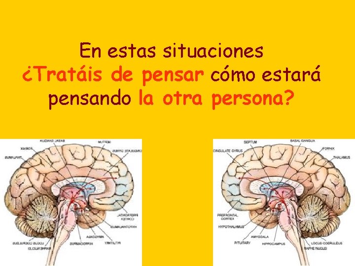 En estas situaciones ¿Tratáis de pensar cómo estará pensando la otra persona? 