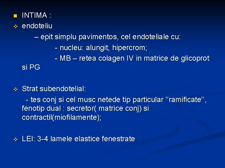 n v INTIMA : endoteliu – epit simplu pavimentos, cel endoteliale cu: - nucleu: n v INTIMA : endoteliu – epit simplu pavimentos, cel endoteliale cu: - nucleu: