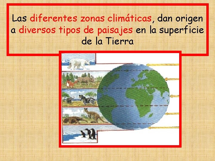 LOS PAISAJES DE LA TIERRA Las diferentes zonas