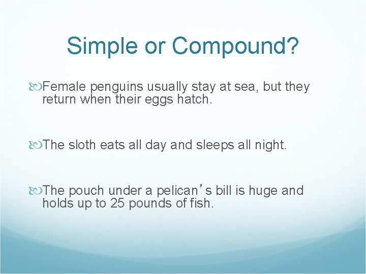 Simple or Compound? Female penguins usually stay at sea, but they return when their