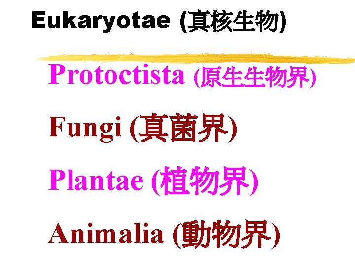 Eukaryotae (真核生物) Protoctista (原生生物界) Fungi (真菌界) Plantae (植物界) Animalia (動物界) 