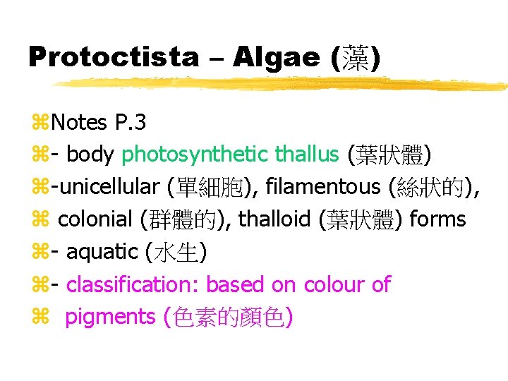 Protoctista – Algae (藻) z. Notes P. 3 z- body photosynthetic thallus (葉狀體) z-unicellular