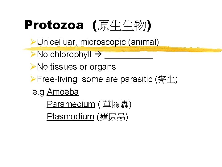 Protozoa (原生生物) ØUnicelluar, microscopic (animal) ØNo chlorophyll _____ ØNo tissues or organs ØFree-living, some
