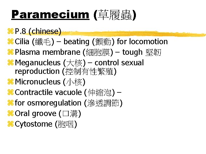 Paramecium (草履蟲) z P. 8 (chinese) z Cilia (纖毛) – beating (顫動) for locomotion