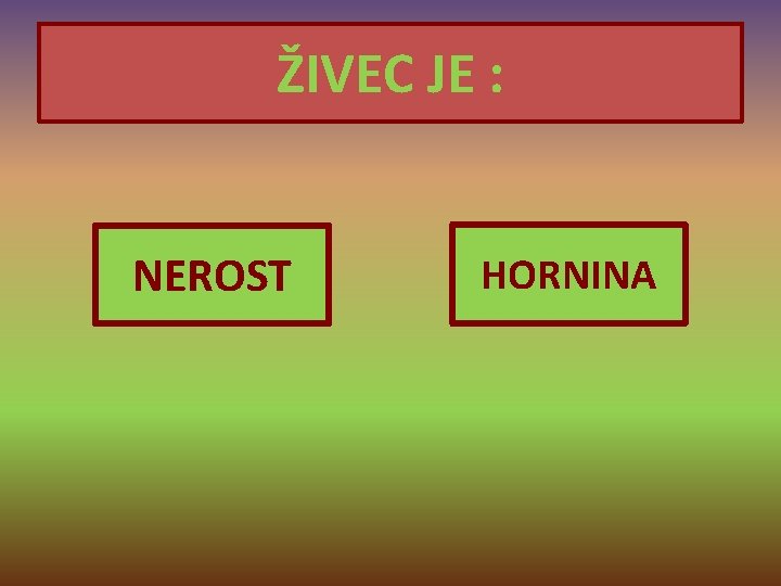 ŽIVEC JE : NEROST HORNINA 