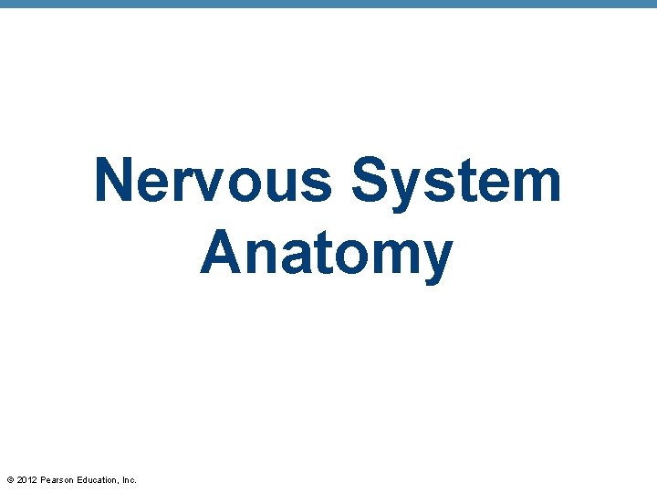 Nervous System Anatomy © 2012 Pearson Education, Inc. 