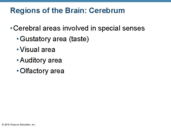 Regions of the Brain: Cerebrum • Cerebral areas involved in special senses • Gustatory
