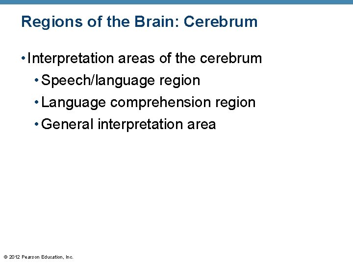 Regions of the Brain: Cerebrum • Interpretation areas of the cerebrum • Speech/language region
