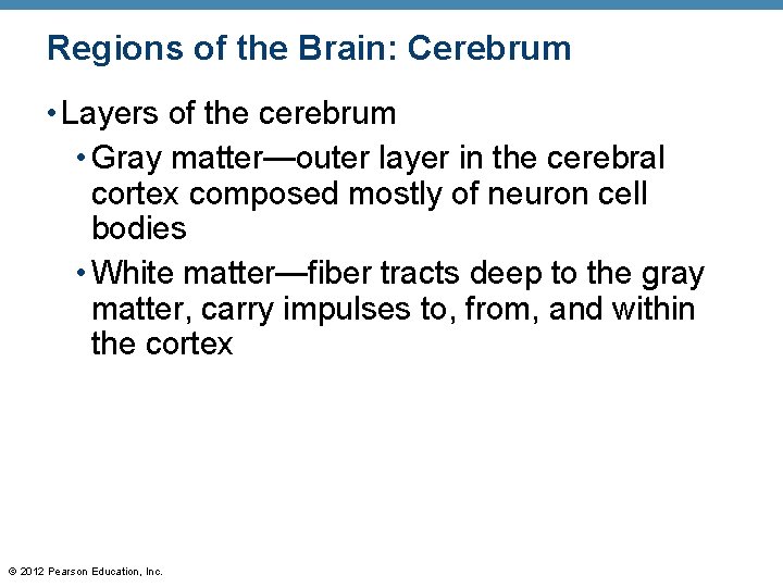 Regions of the Brain: Cerebrum • Layers of the cerebrum • Gray matter—outer layer