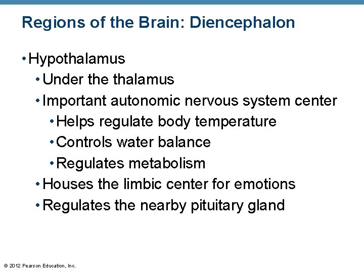 Regions of the Brain: Diencephalon • Hypothalamus • Under the thalamus • Important autonomic