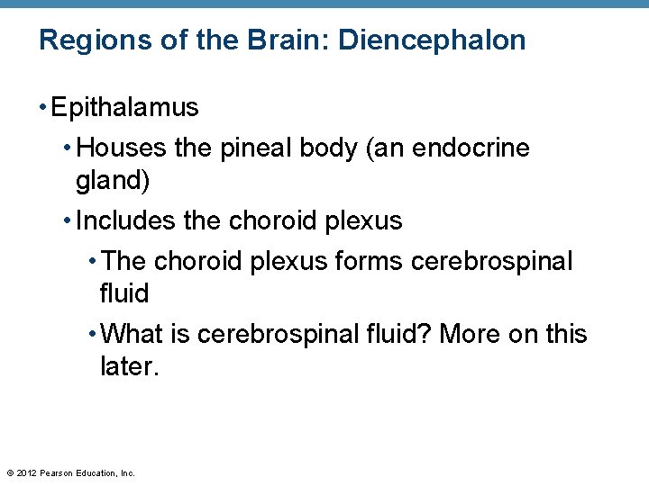 Regions of the Brain: Diencephalon • Epithalamus • Houses the pineal body (an endocrine