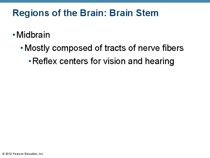 Regions of the Brain: Brain Stem • Midbrain • Mostly composed of tracts of