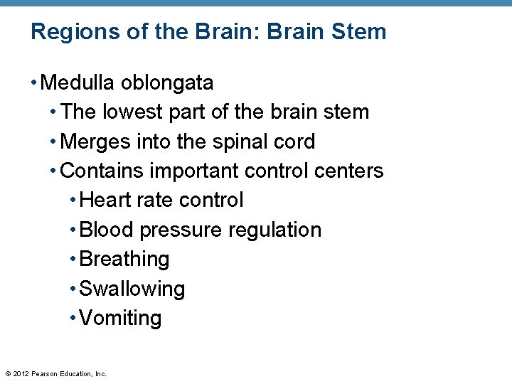 Regions of the Brain: Brain Stem • Medulla oblongata • The lowest part of
